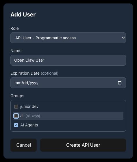 The Add User modal with API User role selected, showing name, expiration, and group assignment fields.